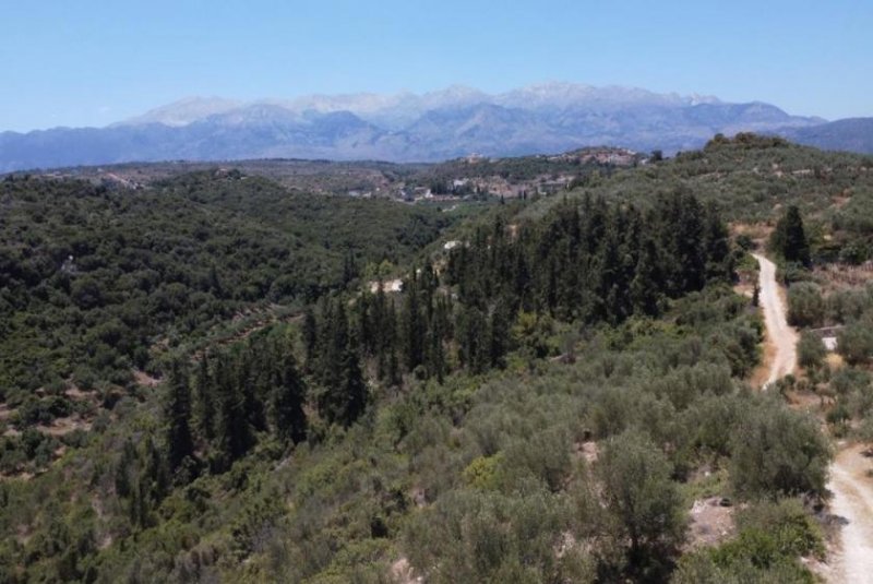 Tsivaras Kreta, Tsivaras: Grundstück in malerischer Lage mit Meerblick zu verkaufen Grundstück kaufen